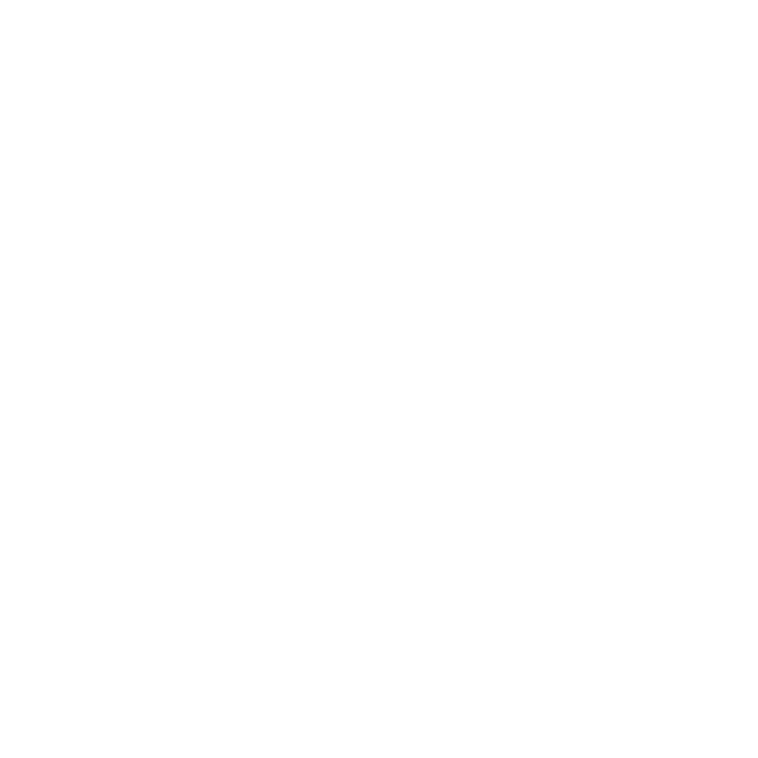 Consulting (3) Digital Marketing consulting icon white