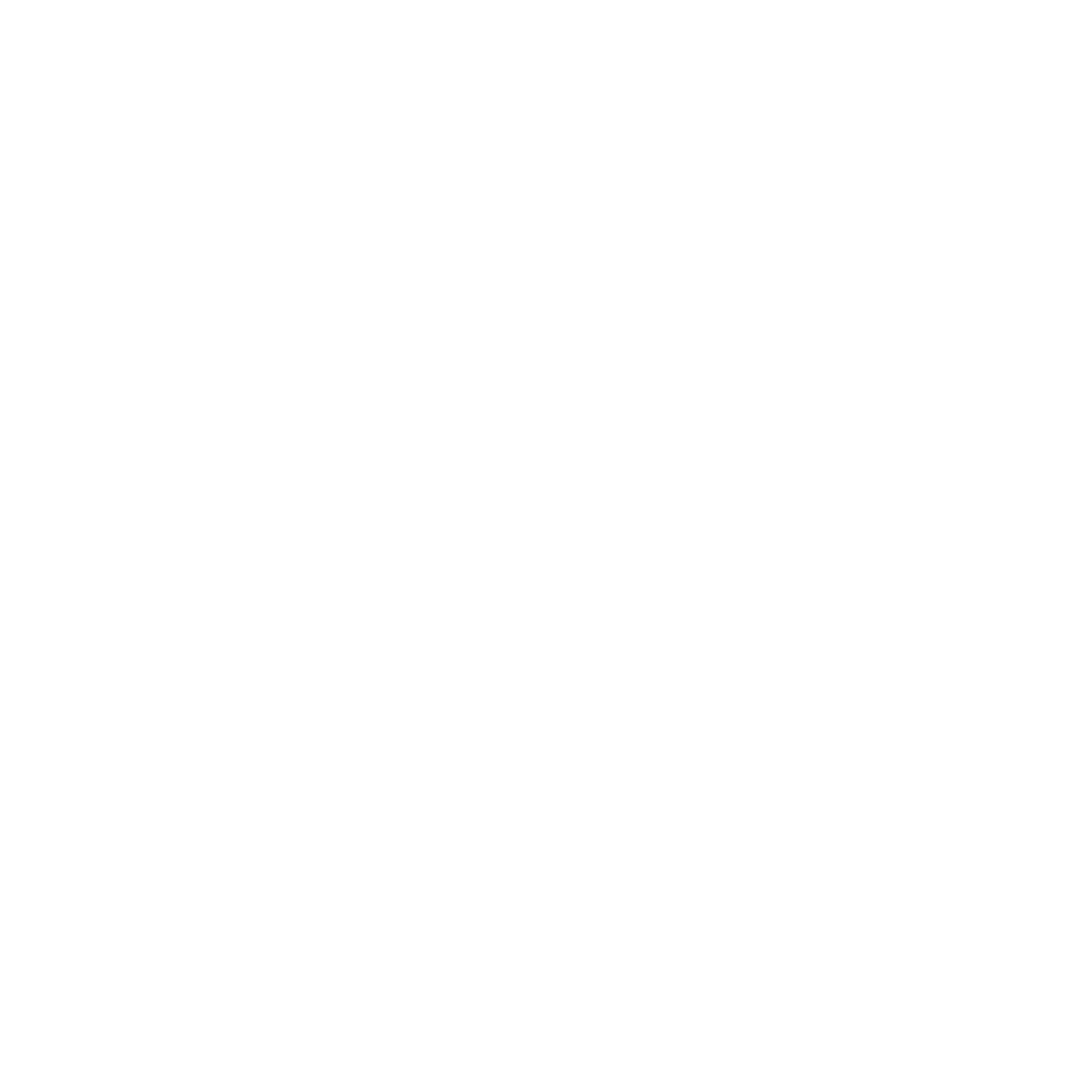 Web Design (3) Digital Marketing Web design icon white